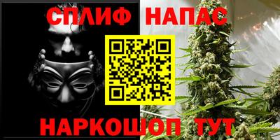 СК Гусев